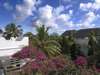 Shela House - Garden 